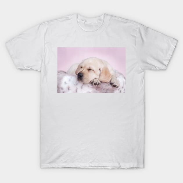 Sleeping labrador T-Shirt by PetsArt